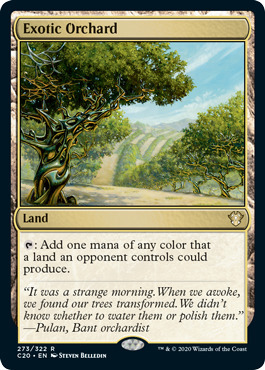 x10 Exotic Orchard